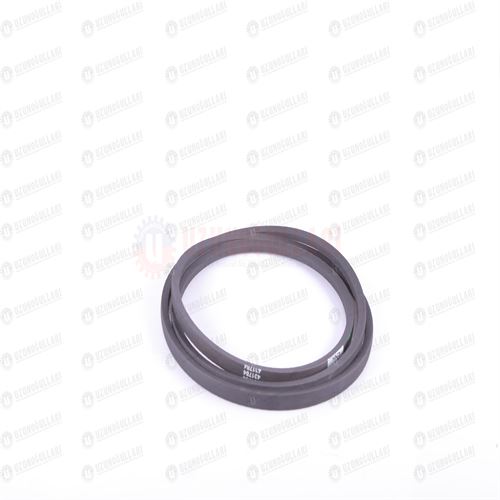 431784 SARSAK KAYIŞI TC 1