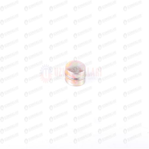 445397 ARKA TEKER POYRA KAPAĞI 1