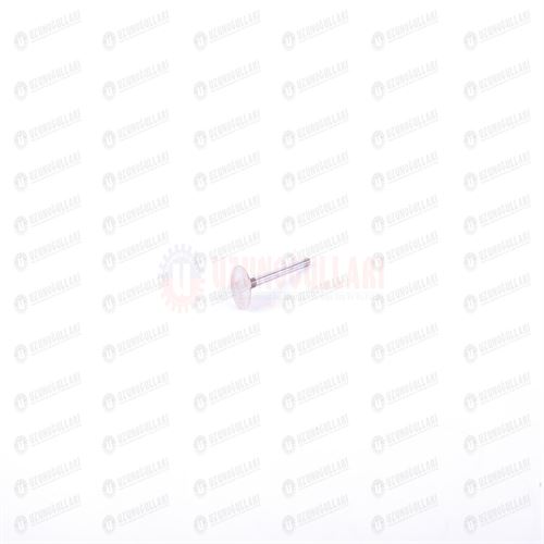 4673608-K EGZOZ SUPABI KALIN 1