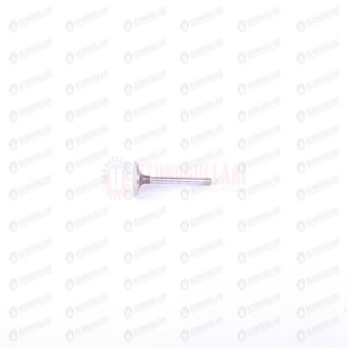 4784889-T EGZOZ SUPABI 1