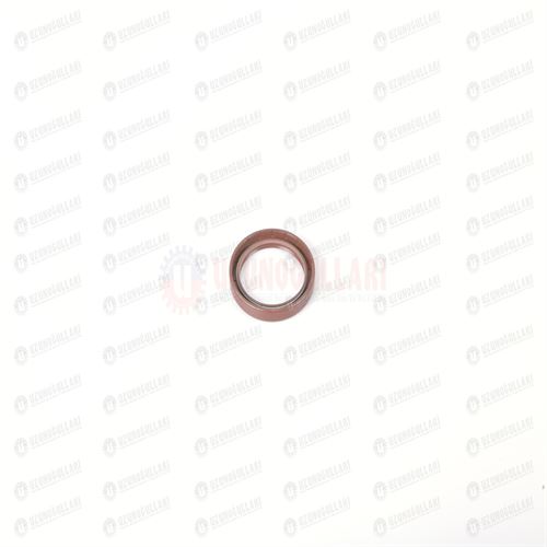 47982769 PÜRİZDİREK KEÇESİ 54*70*8 1