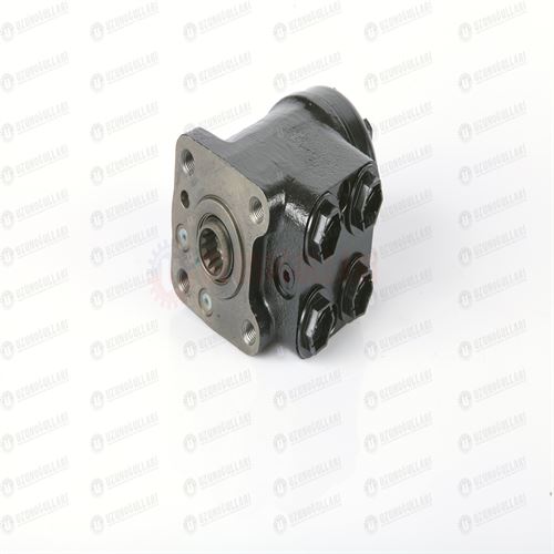 48059624 BEYİN-HİD.DİR OGNIBENE DT 100 bar 2