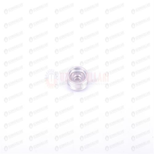 4812554 DENGE BALANS DİŞLİ TAPASI 1