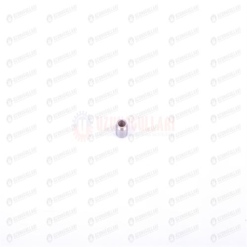 4838680 SUBAP BAŞLIĞI 1