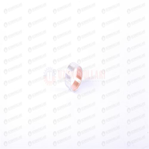 4895040 EKSANTİRİK BURCU 1