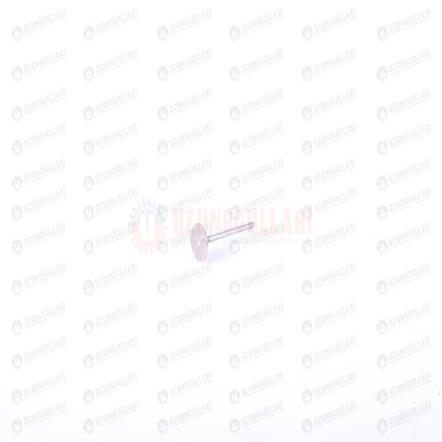 4895188 EGZOST SUPABI 1