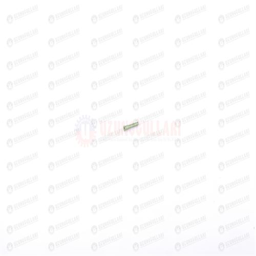 4896865 YAĞLAMA REKORU 1