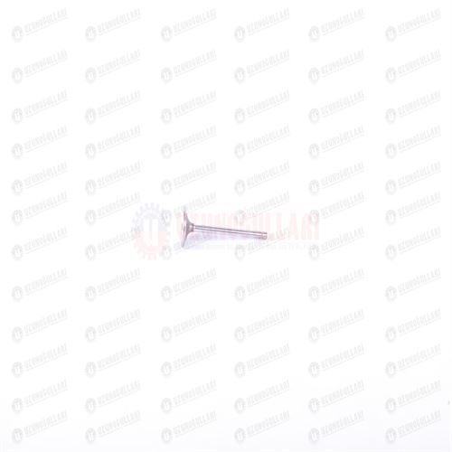 4899632 EGZOST SUPABI 1