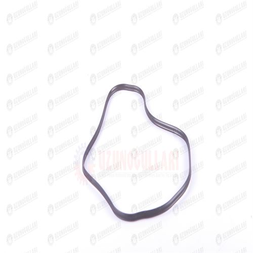 500301351 SUBAP KAPAK LASTİĞİ 4 CLY 1