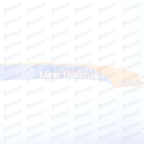 5083794 YAN YAZI TT 65 B 1