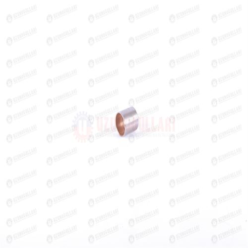 5088072 AVARE DİŞLİ BURCU 1