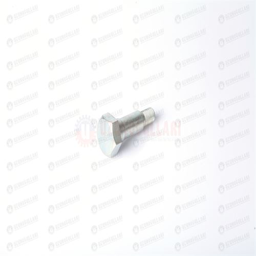 5089588 CİVATA,DİR.AYAR PİSTONU 1