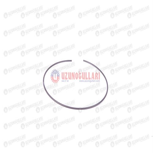 5100512 ÖN DİFRANSİYEL SEGMANI 1