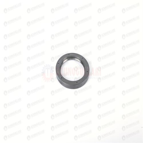 5106689-S ARKA AKS KEÇESİ 80*110*12 1