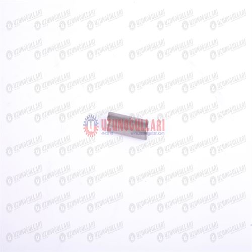 5110876 ARKA AKS PİNYON DİŞLİ RULMANI 1