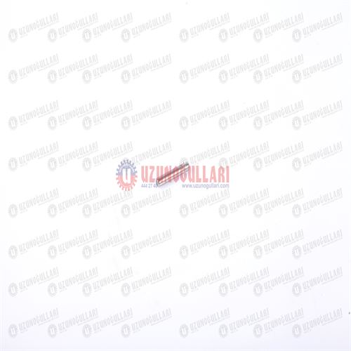 5132285 TAKVİYE GEZEGEN DİŞLİ RULMANI 1