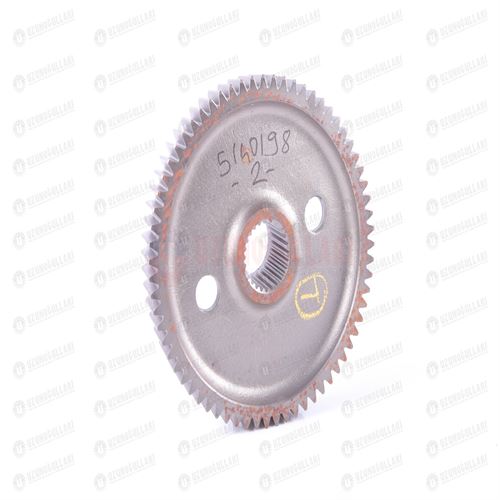 5140198 CER DİŞİSİ PİRİNÇ 1