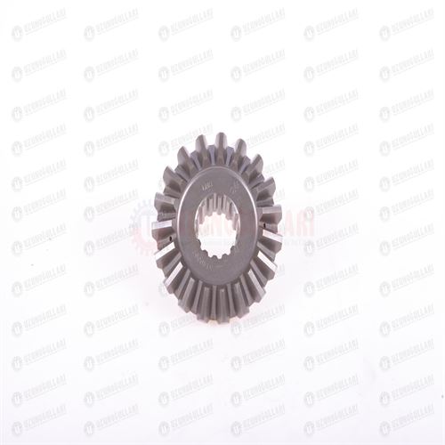 5149551 AKS DİŞLİSİ 1