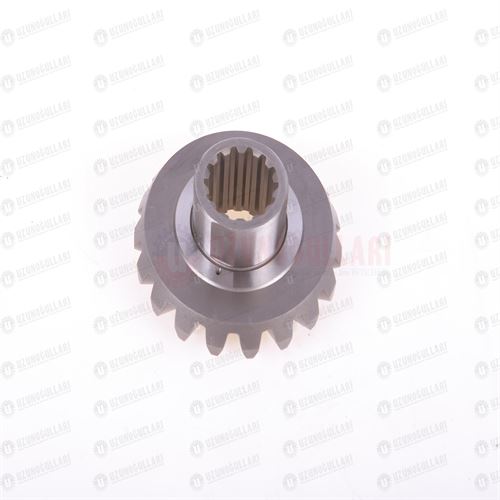 5149551 AKS DİŞLİSİ 2