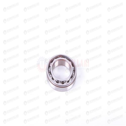 5178809 RULMAN 6011 ZNR 1