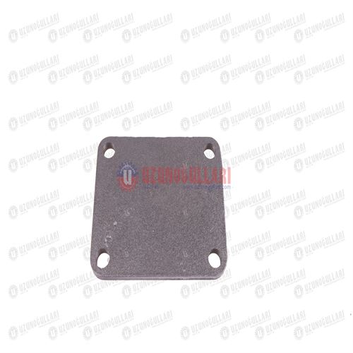 5190203 DİFRANSİYEL KASNAK KAPAĞI 2