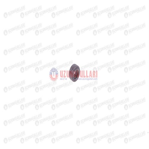 5190901 DİREKSİYON RULMANI GE 20 1