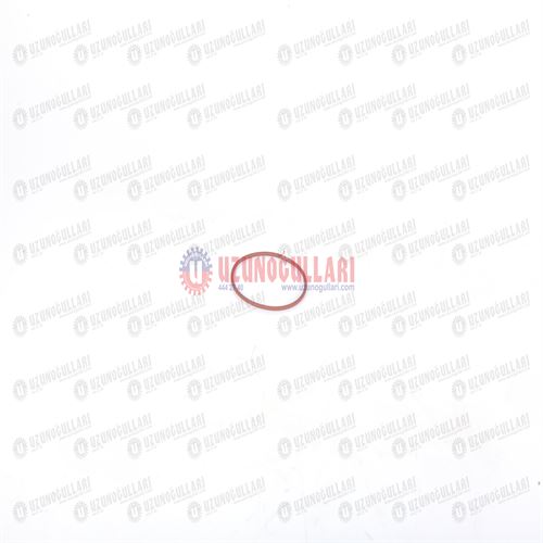 5195357 YAYLI SEGMAN 1