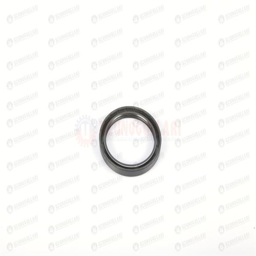 5196487 KUYRUK MİLİ KEÇESİ  TM-TSA-T 6000 -7000  80X100X10 2