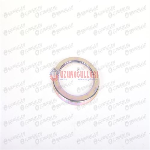 5198541 KEÇE KAVRAMA 1