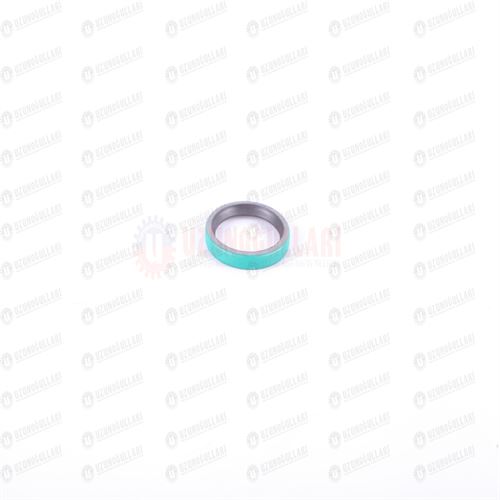 796503 BIÇAKKOLU ŞANZUMAN KEÇESİ  ÇATAL KEÇESİ TC-CS 1