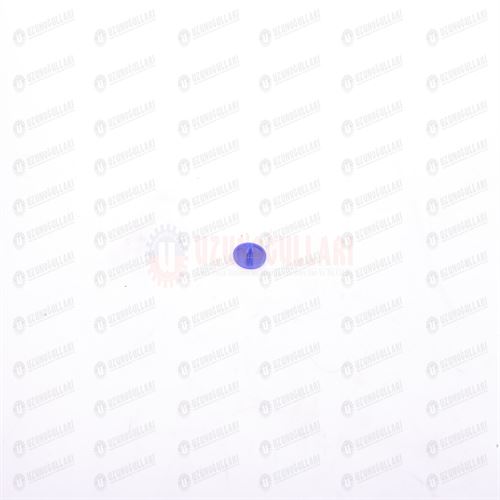 82029893 KAPAK MAVİ 1