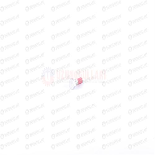 84170038 AYNA MAHRUTİ CİVATASI 1