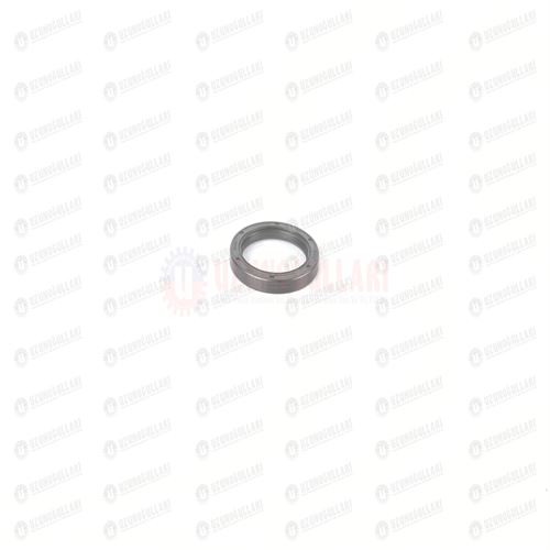 84209519 PÜRÜZDİREK KEÇESİ  45*60*7 1