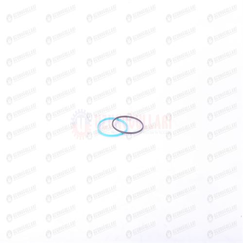 84256292 PİSTON ORİNGİ 1