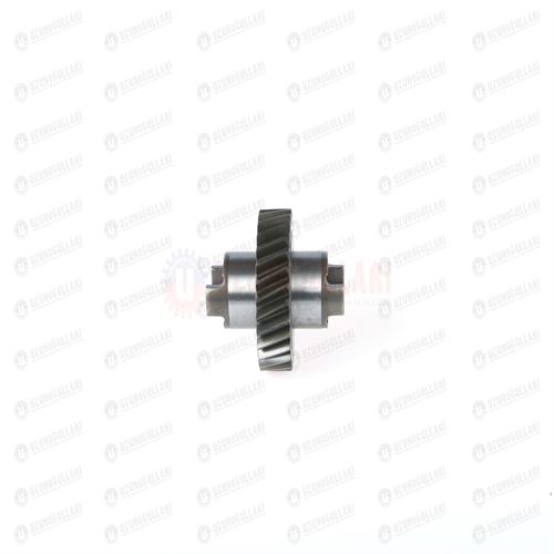 84420568 HİDROLİK POMPA DİŞLİSİ  Z=29 ÇAP 76,5 2