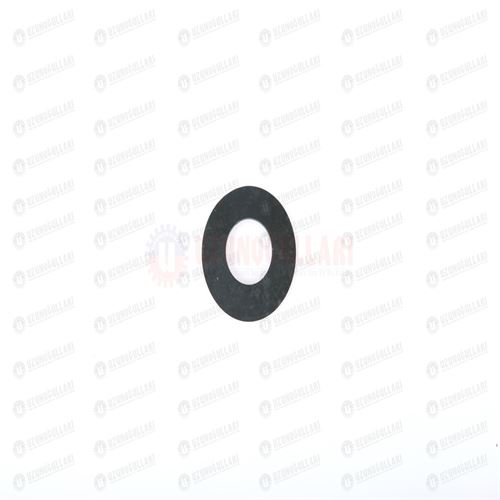 84529623 GERİ VİTES YAY 1