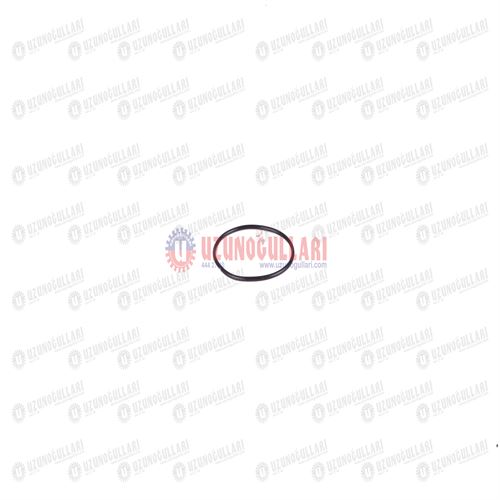 86012299 ORING 1
