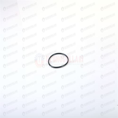 86977781 ÖN DT BURCU ORİNGİ 1