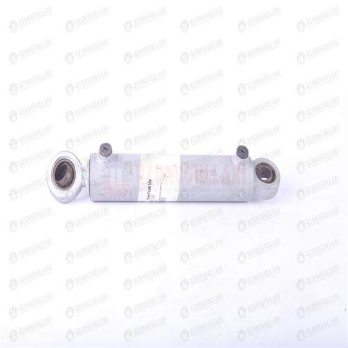 87302891 PİSTON-HİD.DİREKSİYON-DT OGNİB 1