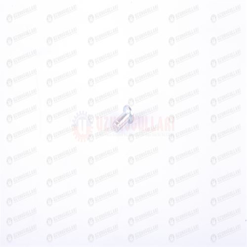 87392055 EGC DAĞITICI KUM. KOLU PİMİ 1