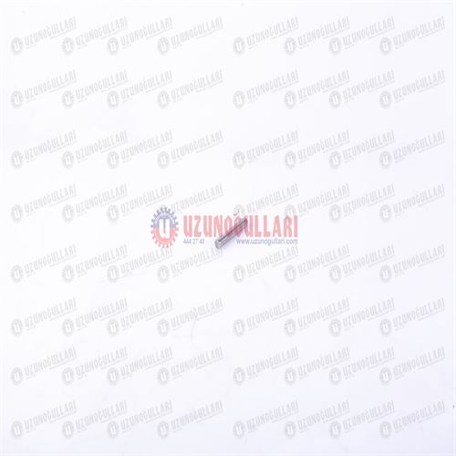 87565312 ÖN.DİF.BAĞ.RULMANI    1 DİŞLİ :19 AD	 1