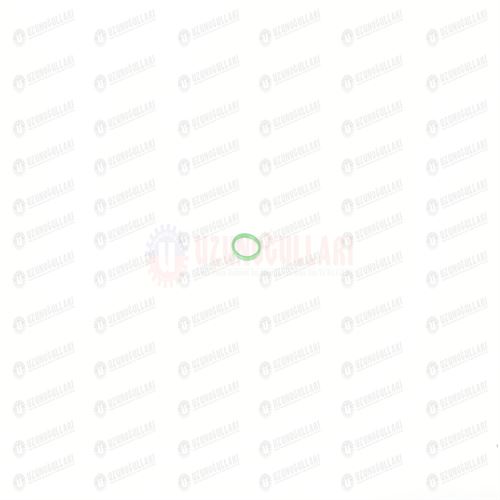9827059 O-RING 1