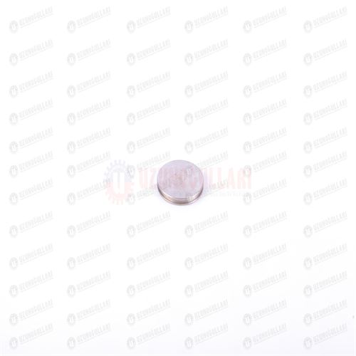 98412737 EKSANTRİK GÖVDE TAPASI  64 MM 1