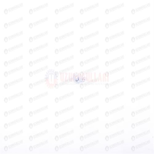 98475474 YAĞLAMA REKORU 1