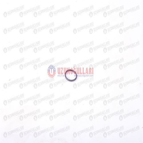 9992069 ORING 1