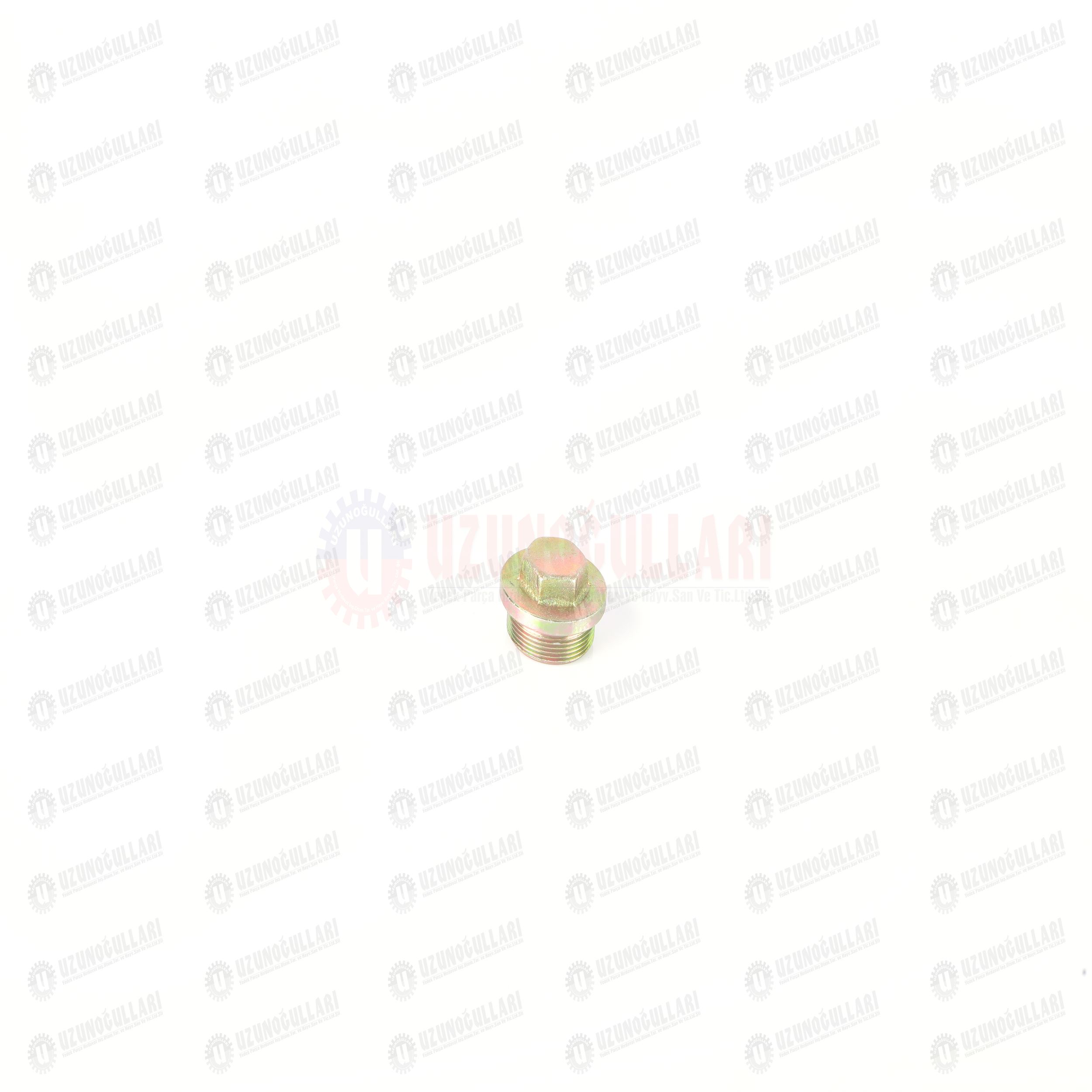 10306371 HİDROLİK GÖVDE TAPASI 1