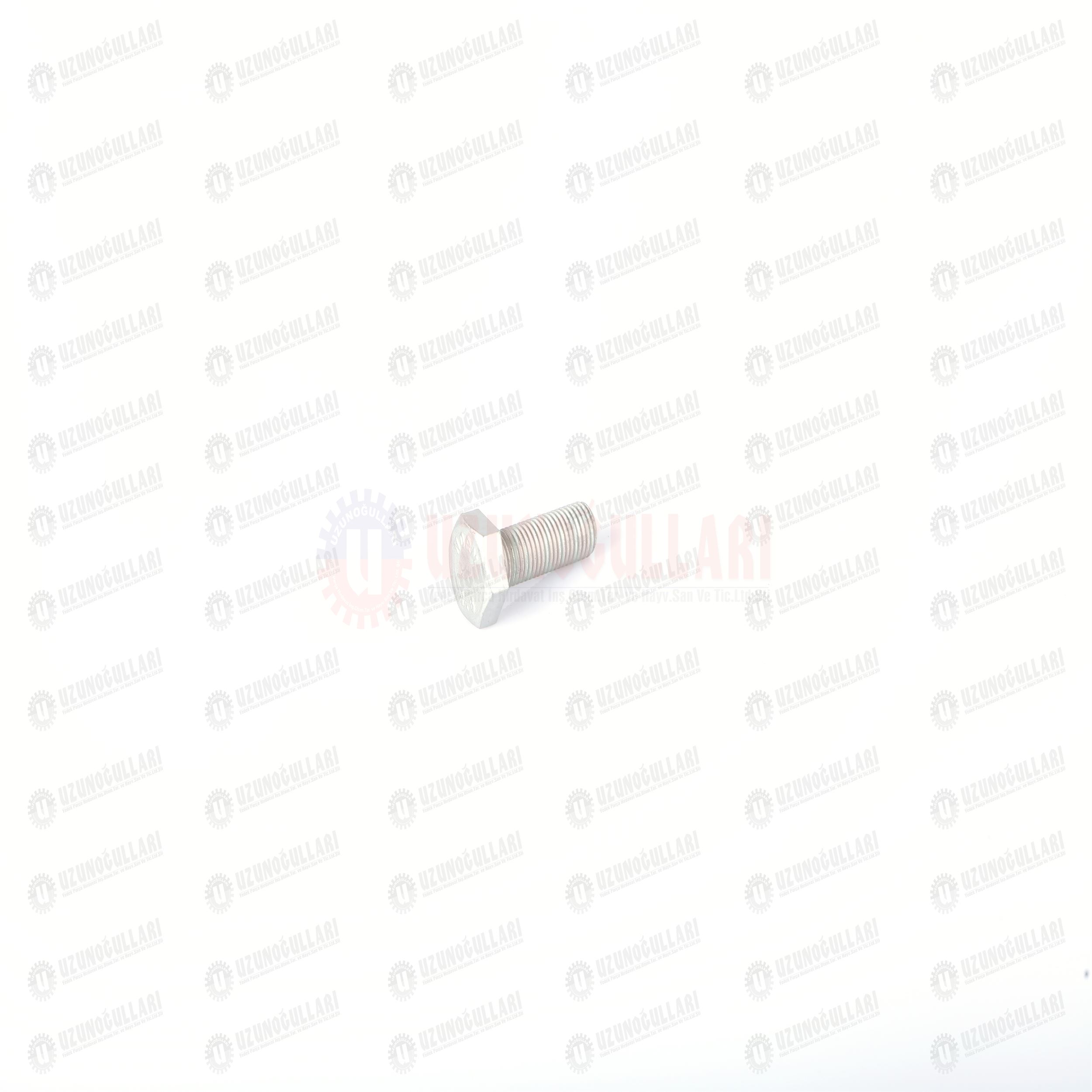 11306924 CİVATA M10*1,25*30  11306934 1