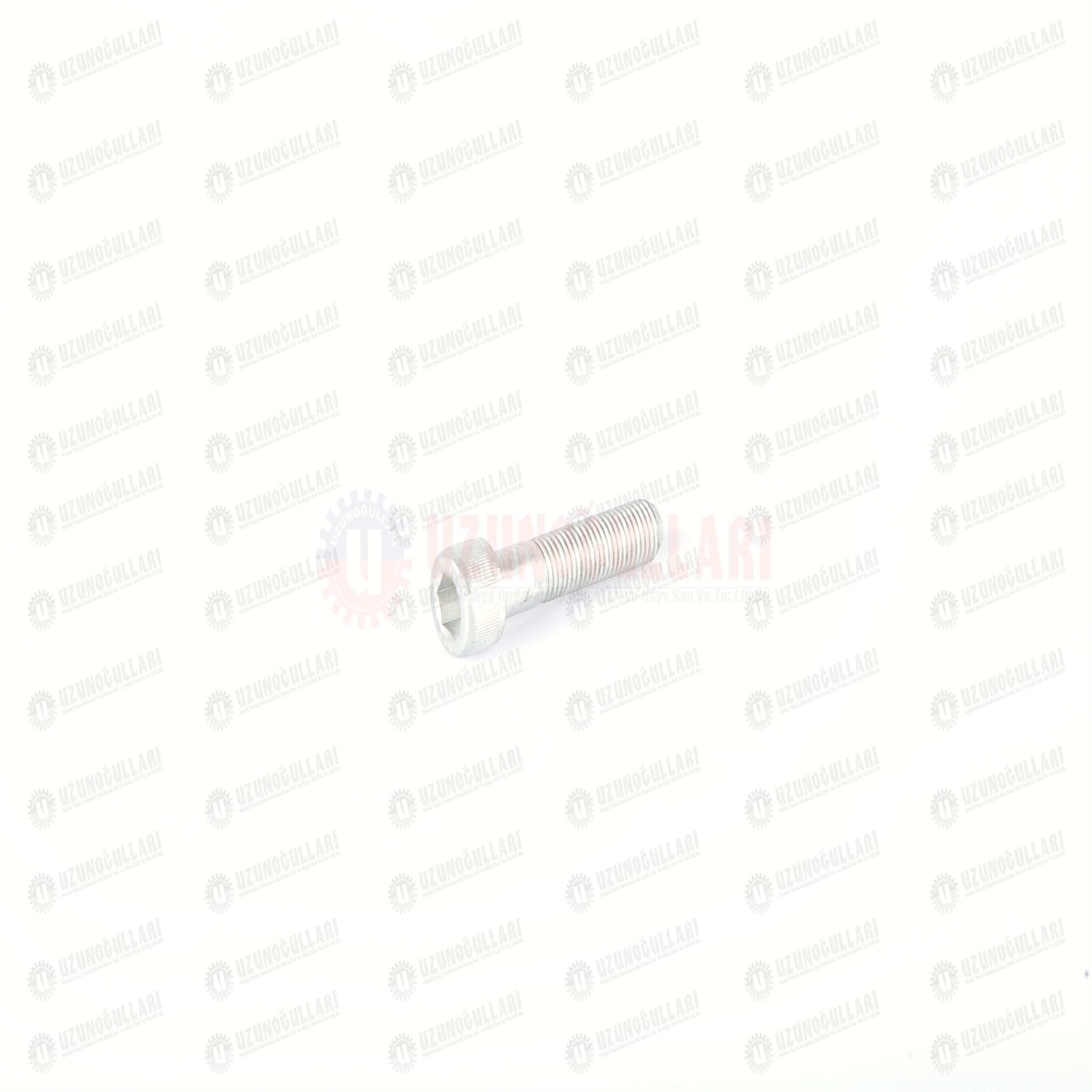 14307834 HİD.BEYİN BORU CİVATASI  M10*1,25*45 1