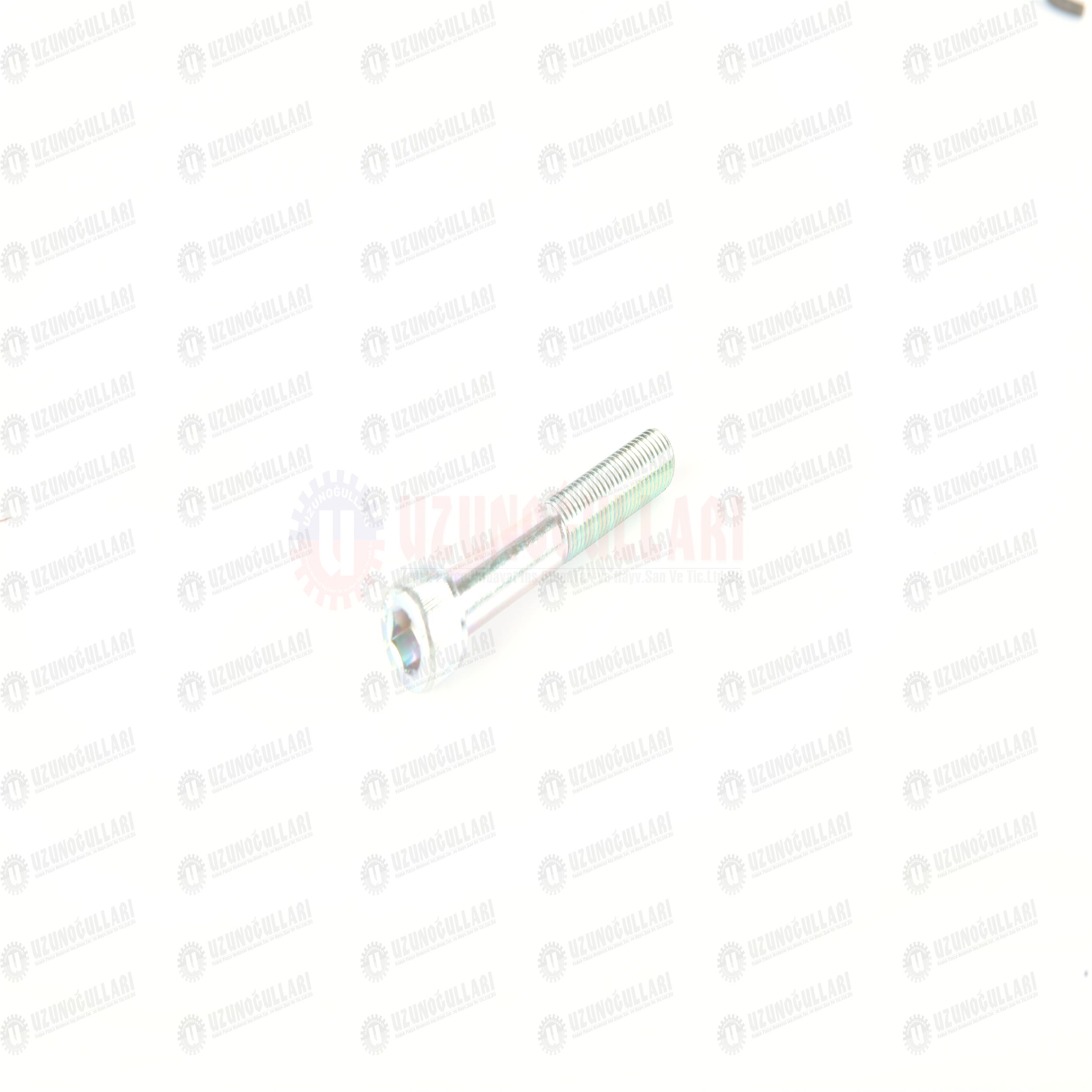 14308221 HİD.BEYİN BORU CİVATASI  M10*1,25*65 1