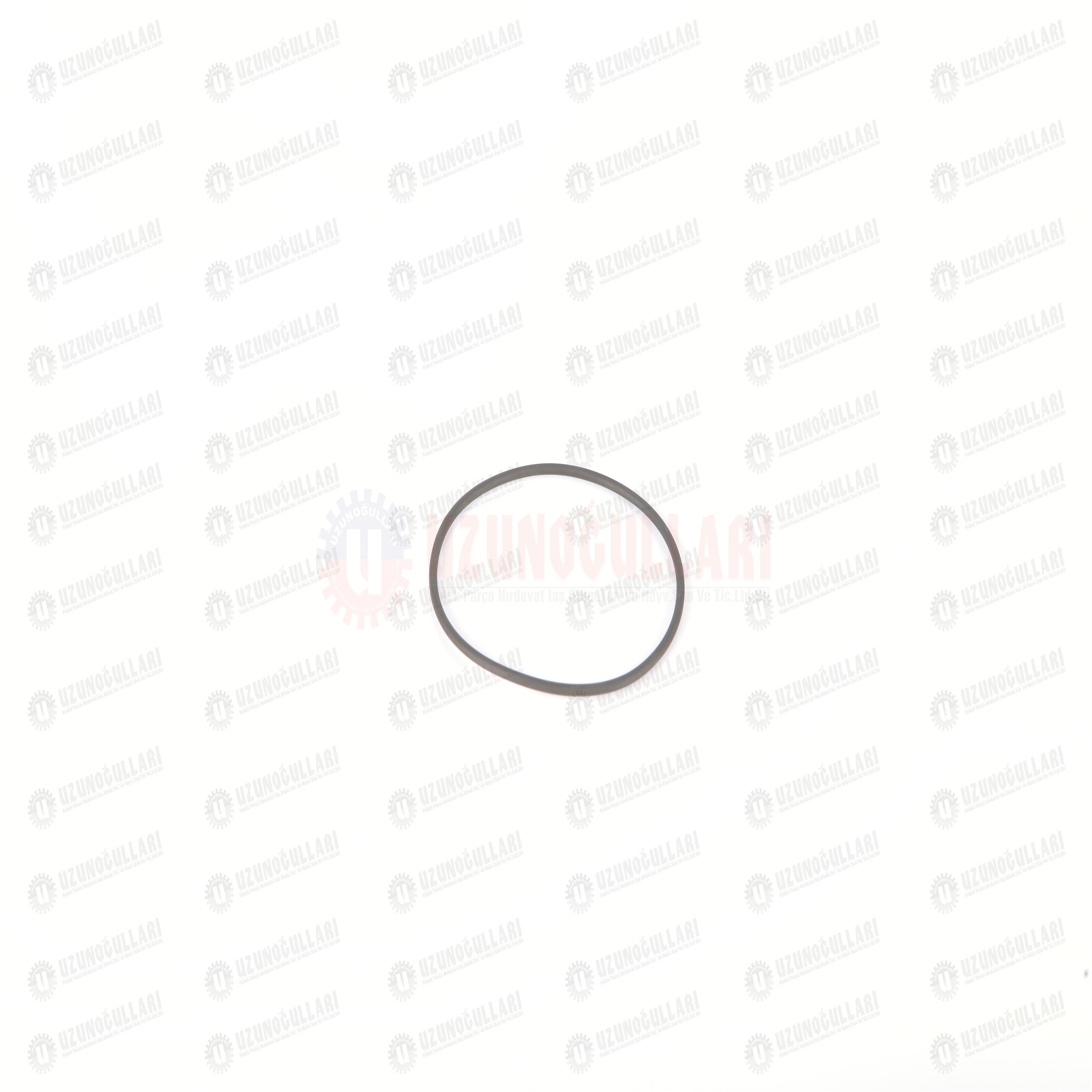 18438 ORING 1